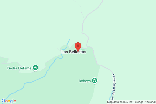 Bellostas Laliena r.