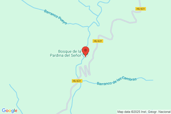 Bosque Foncillas a.