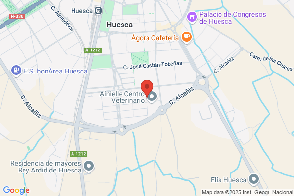 Federacion Aragonesa De Ajedrez
