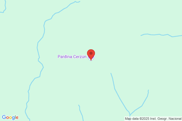 Pardina Susin j.