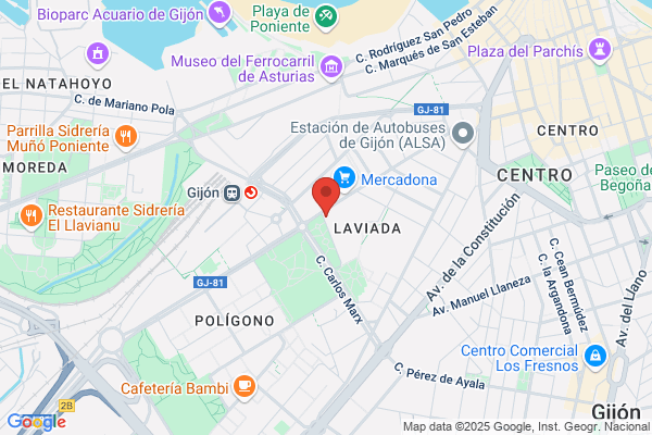 Libreria Pinocho