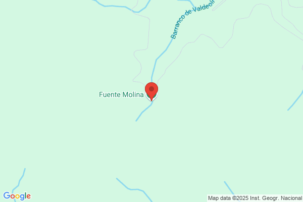 Fuentes Molina m.