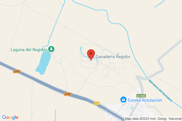 Regidor E Hijos S.L.