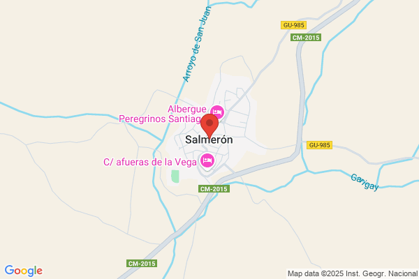 Salmeron Canales m.
