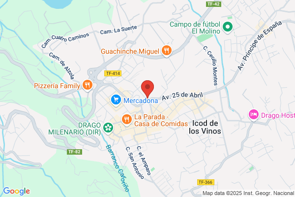 Insular Hosteleria S.L.