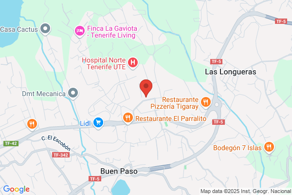 Gonzalez Meneses j. C.