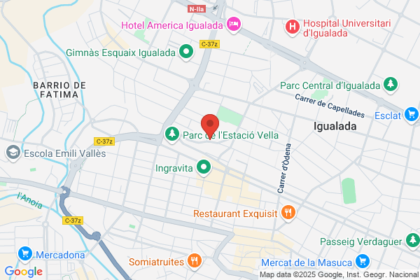 Camins Talavera s.
