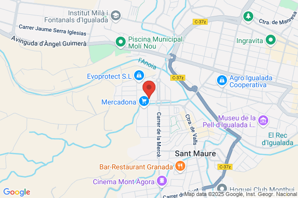 Montlingua
