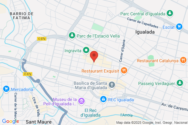 Finques Gaudi
