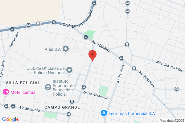 Salinas Luque a.