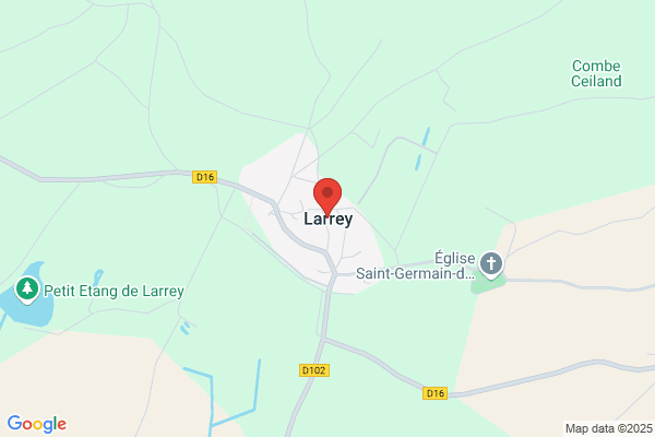 Larrey Martinez j.