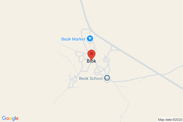 Biok S.A.