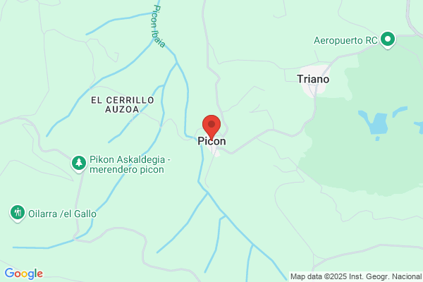 Picon Gonzalez a. C.