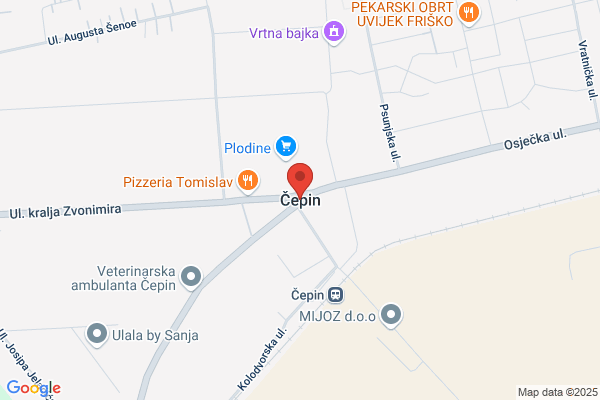 Cepin S.A.