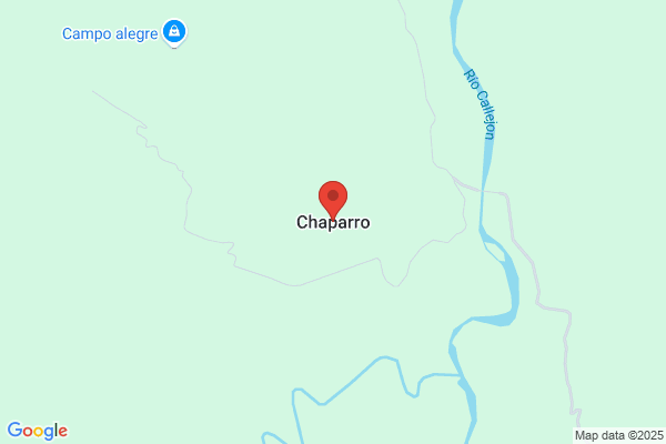Yerga Chaparro m. P.