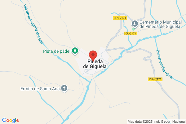 Viñuela Pineda j. L.