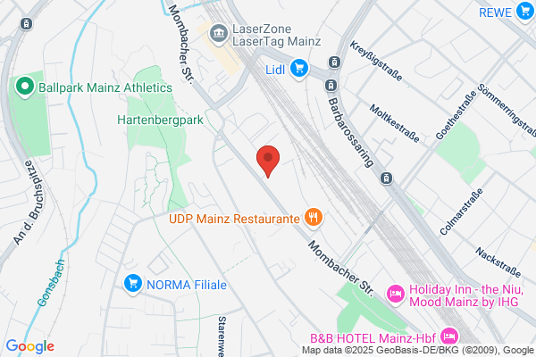 Mainz Garde j. M.