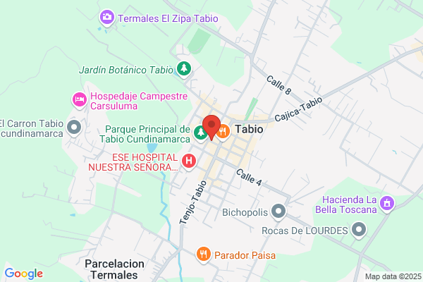 Restaurant Barbacoa - Comida Tipica Y Casera