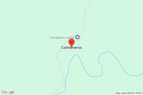 Colmenero Carazo j.