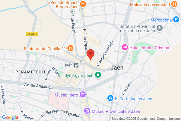 Piccadilly Language School - ACADEMIA INGLES JAEN