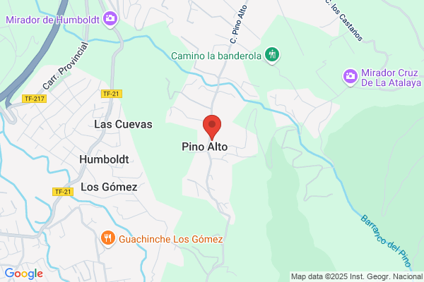 Linea Del Pino S.L.