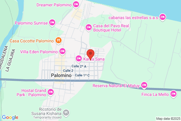 Arbol Palomino m. A. Del