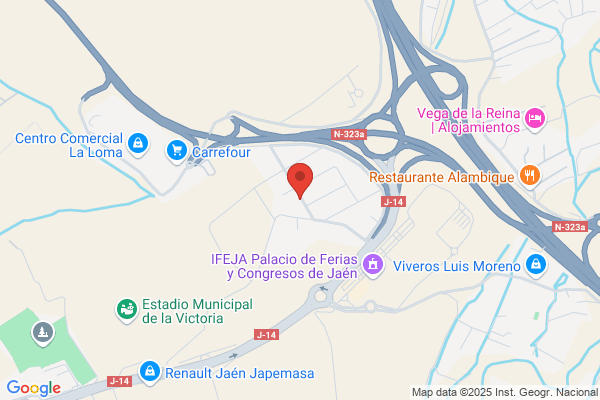 Asistencia Torressur