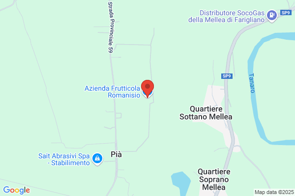 Romanisio Vitale c.