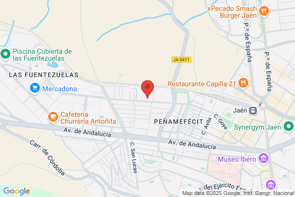 Automóviles Familia Lendínez