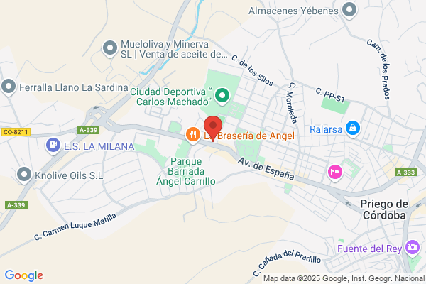 Papeleria Y Libreria Desiree