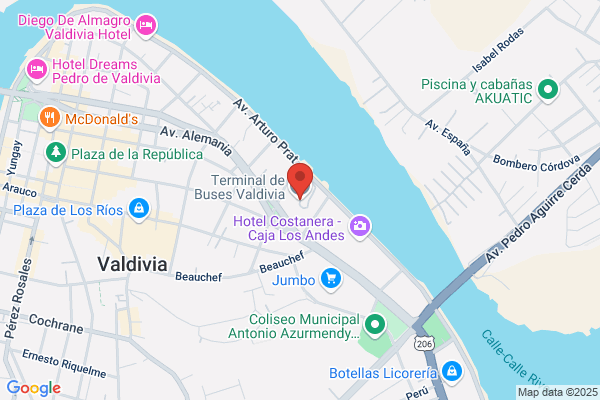 Valdivia Castro a.