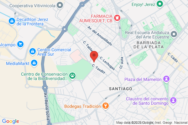 Delegacion Diocesana Del Movimiento Scout Catolico De jerez