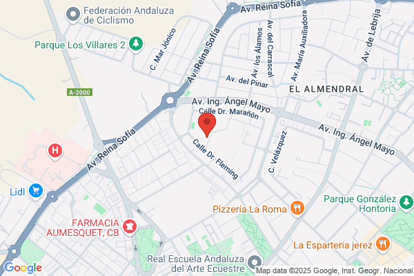 Sevicio De Recuperaciones Financieras A.I.E.