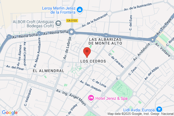 Asociacion Pro-Disminuidos Fisicos De Jerez-Auxilia