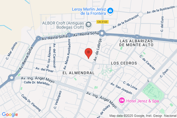 Instituto Vascular Los Alamos S.L.