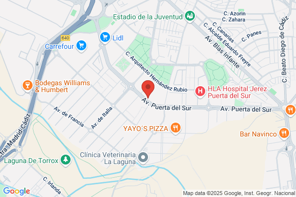 Instituto Europeo Jerez Sur