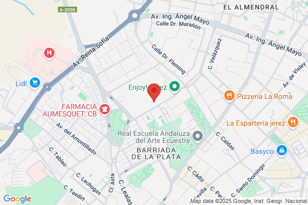 Colegio Nuestra Señora Del Pilar-Marianista (Infantil-Primaria)