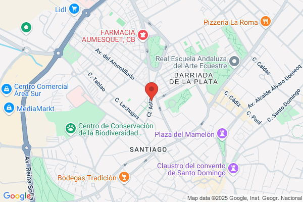 New Service Jerez S.L.