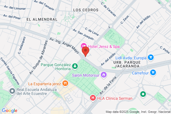 Instituto De Medicina Psicosocial S.L.