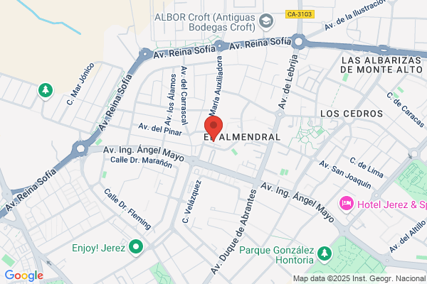 Bazar Y Confiteria Del Almendral