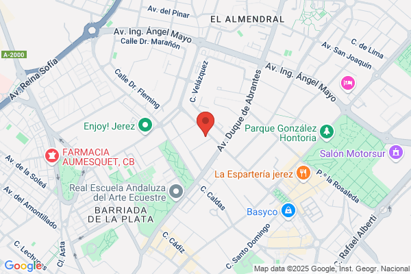 Meson Del Asador S.L.
