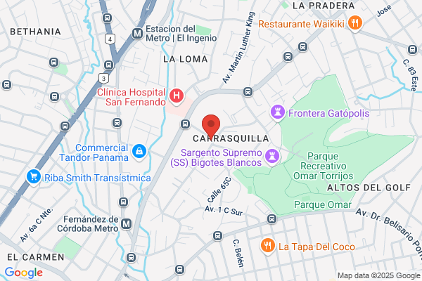 Seguridad Del Sur S. A. L.
