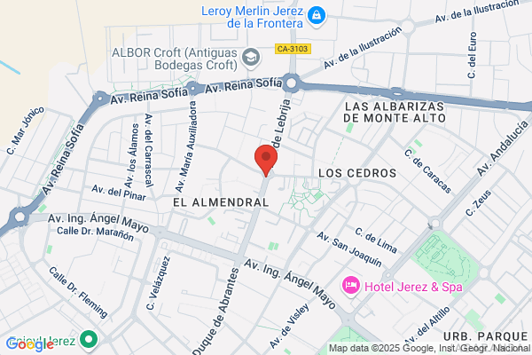 Hijos De Rainera Perez Marin S. A.
