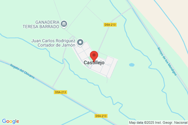 Castillejo Alvarez j.