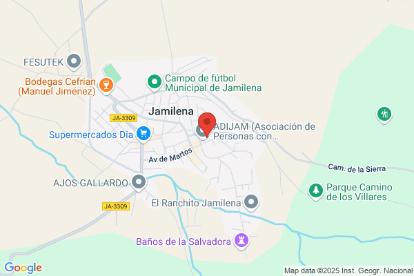 Castellano Camara j.