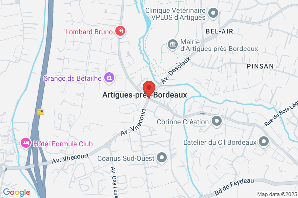 Artigues Puigcerver a.