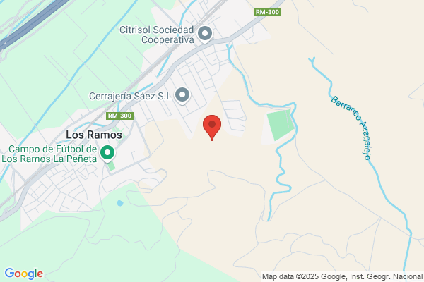 Cuevas Ramos j. M.