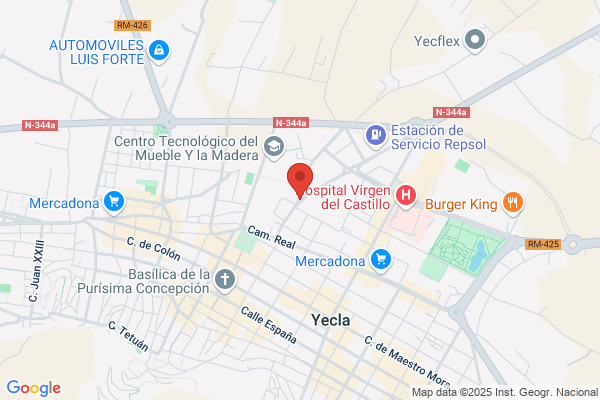Hijos De Ramon Puche S.L.