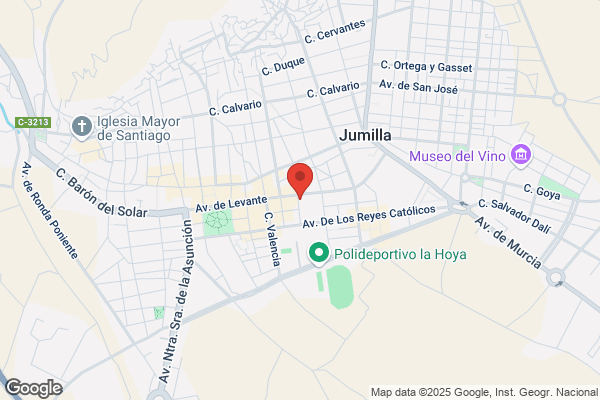Instituto De Bachillerato Arzobispo Lozano