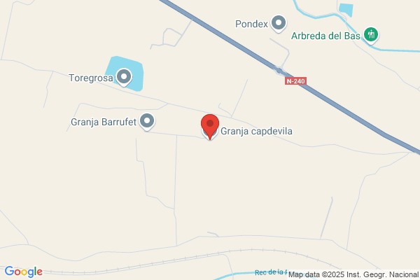 Capdevila Mollo f.